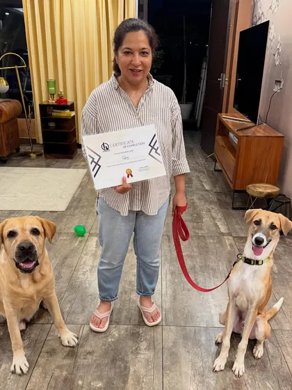 A true success story. Toby, an Indie who survived the streets, has officially graduated from my obedience program. He's pictured here with his proud owner, calm and confident. This is the transformation I live for, turning a dog's past into a story of resilience.