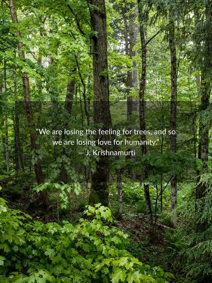 Nature Immersion & Forest Therapy photo 7