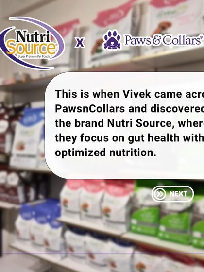 PawsnCollars - Veterinary Care Nutrition for a Vibrant Life photo 4