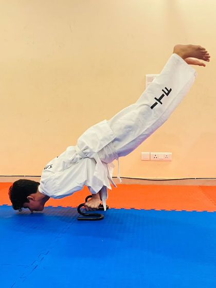 Inside the Dojang: Technique & Training photo 6