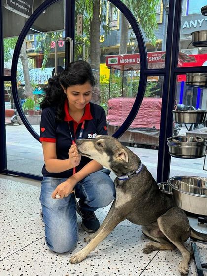 Zigly - Veterinary Services For the Love of All Animals: Community & Rescue Work photo 8