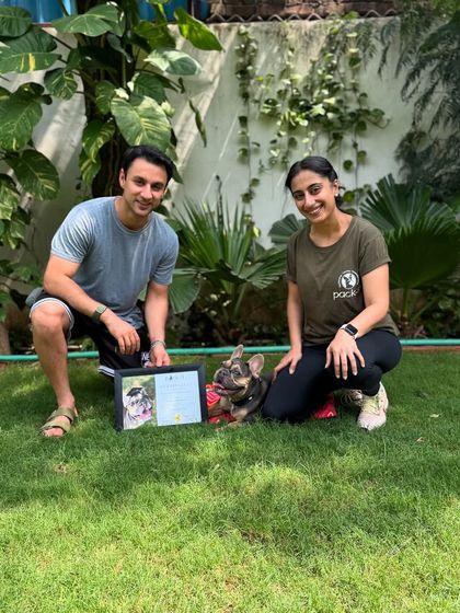 Daisy, a strong-headed French Bulldog, proudly posing with her graduation certificate and guardian.