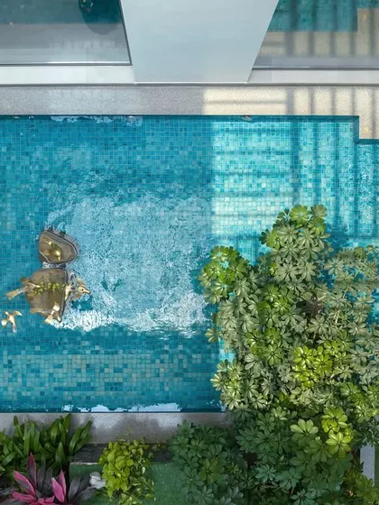 An aerial view of a pool, with a small tree and sculptural elements at its edge. The vibrant blue of the water contrasts beautifully with the surrounding greenery, creating a stunning visual from above.