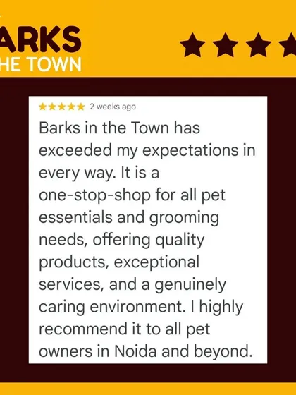 This review says we exceeded expectations in every way. We are proud to be a one-stop shop for grooming and pet essentials with a genuinely caring environment.