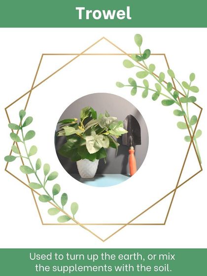 The trowel is an indispensable tool for any gardener. Its pointed blade is perfect for digging small holes for planting, turning over soil, and mixing in compost or other supplements to nourish your plants.