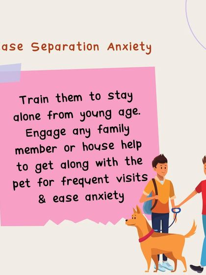 This graphic gives tips on easing separation anxiety by training your dog to be alone from a young age. This is a crucial skill, especially for working pet parents.