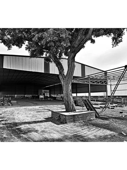 A moment during the construction phase, where we carefully integrated the new structure with the existing natural landscape. Preserving the mature tree on site was a core part of our sustainable approach to this industrial project.