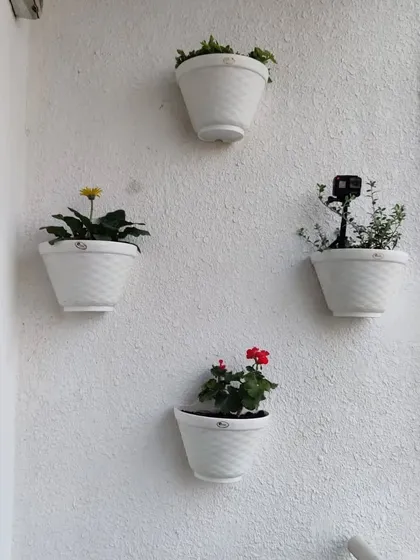 A simple yet effective use of wall mounted planters to grow a variety of colorful flowering plants, adding life and beauty to a plain balcony wall.
