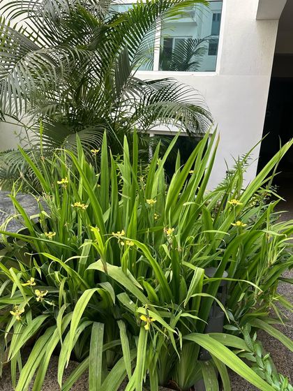 Residential Sanctuaries photo 27