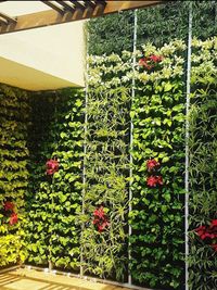 Plant & Garden Supply