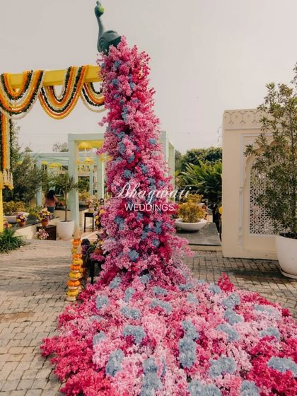 A magnificent floral peacock installation at the entrance of a 'Phoolon Ki Holi' themed haldi. The peacock's tail is a cascade of pink and blue flowers, creating a stunning visual impact.