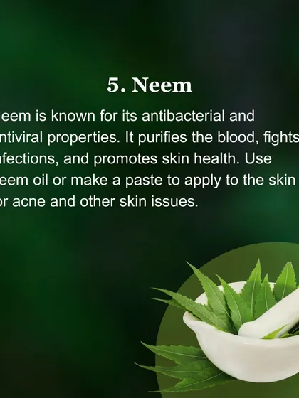Neem is known for its potent antibacterial and antiviral properties. It purifies the blood and promotes skin health. I often recommend neem oil or a paste for acne and other skin issues.