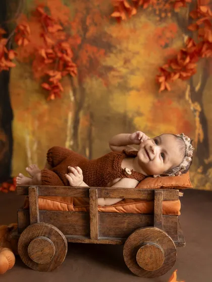 A 3-month-old baby girl in a rustic cart with an autumn-themed backdrop.