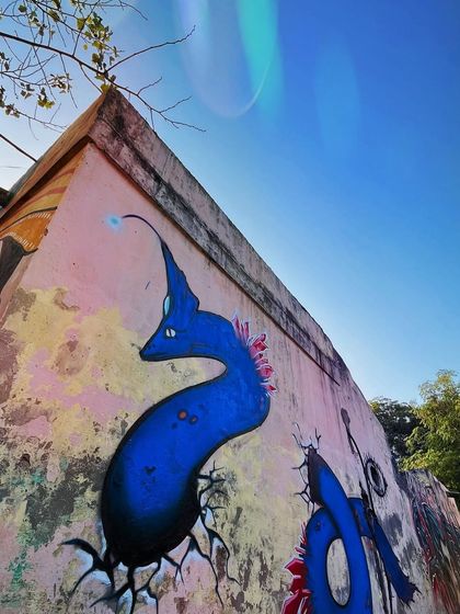 Yogi Graffiti - Custom Murals & Wall Art Pure Graffiti: Wildstyle & Crew Sessions photo 30