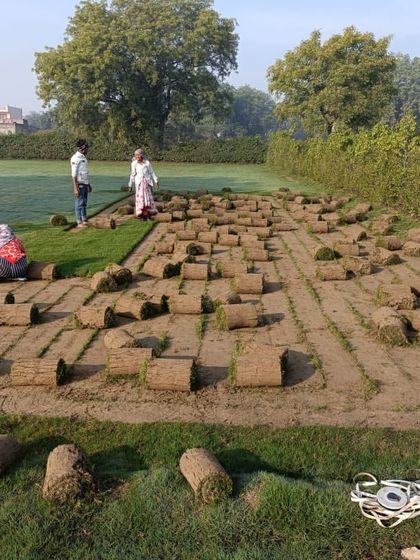 My team overseeing the harvesting process on a clear day. We supply grass for all kinds of projects, big and small.