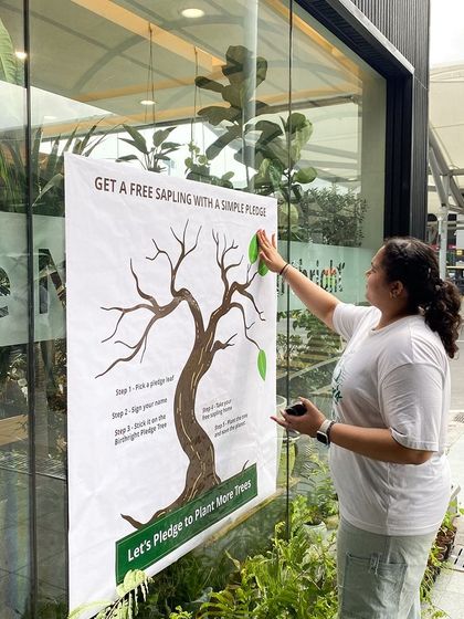 Here is the start of our pledge tree at one of our stores. It's a simple idea: make a pledge, get a free sapling, and help us grow a forest of commitments.