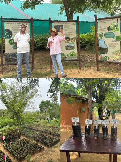 Our team explains the different types of native Aravali species to Valvoline Cummins employees at our Aranya nursery. The informational boards detail the unique characteristics of each plant.
