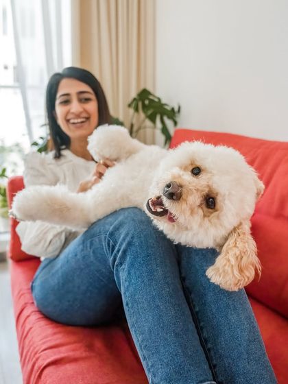 A goofy and adorable shot of Dinkan lying on his mom's lap, looking up at the camera with a happy, relaxed expression.