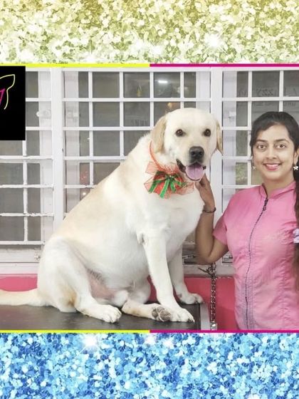 Fuzzy Wuzzy - Pet Grooming & Spa Spaniels, Retrievers & Large Breed Grooming photo 26