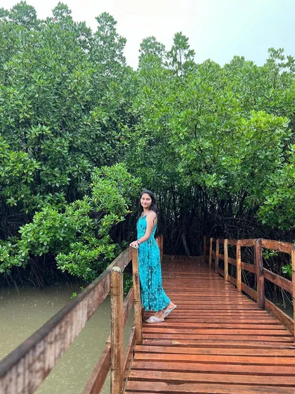A trekker on the beautiful mangrove boardwalk in Honnavara.