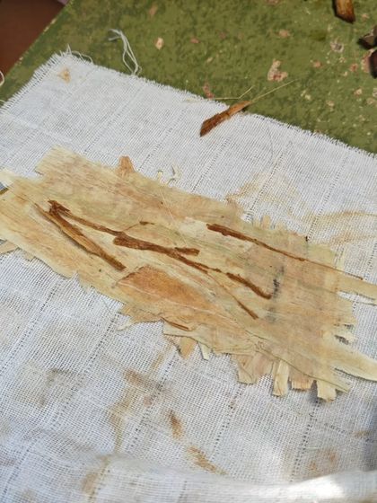 The Earth School - Montessori Primary & Elementary Program Art, Craft & Storytelling photo 12