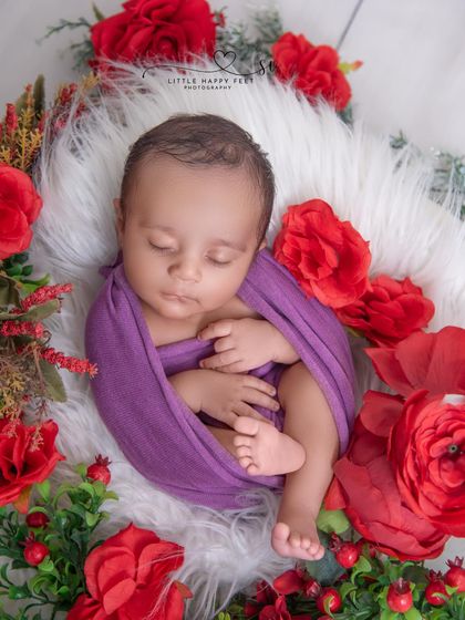 A bold and beautiful portrait with a baby wrapped in purple, surrounded by vibrant red flowers. The color combination is unexpected and stunning.