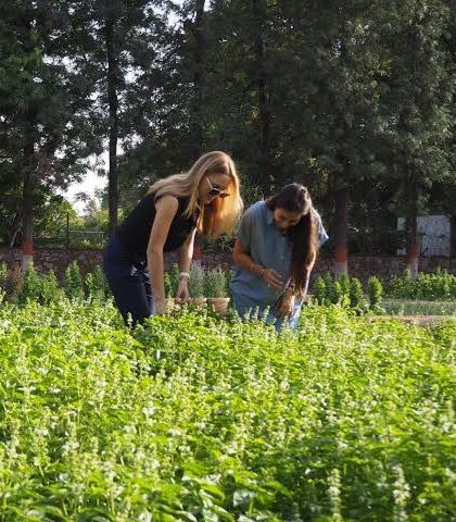 Our founders, Ambika and Alice, in their element at our farm, surrounded by fields of fresh basil. Our farm-to-table philosophy starts right here.