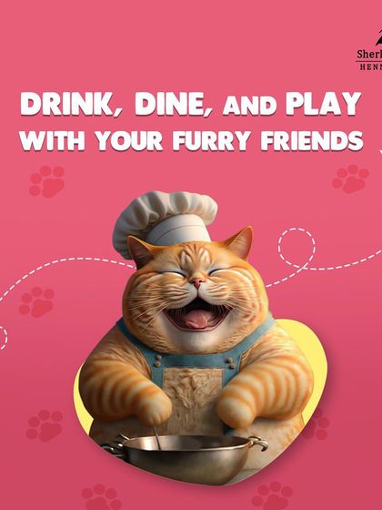 Drink, dine, and play with your furry friends. I provide a space where you don't have to leave your pets at home.