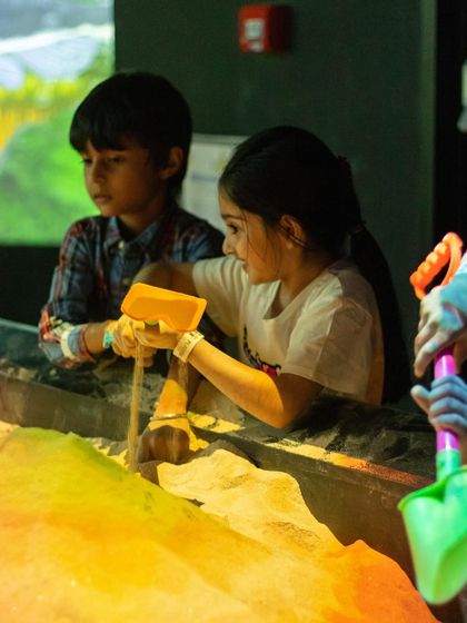 Digital World & Arcade Games photo 35