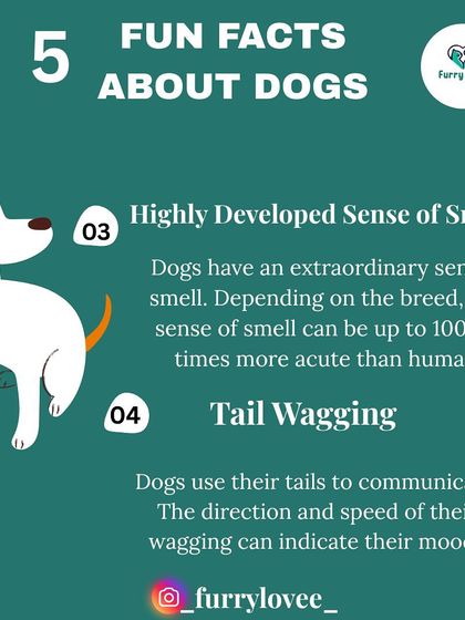 Fun fact about dogs: their sense of smell is extraordinary, and they use their tails to communicate complex emotions. Understanding these things helps you connect better with your dog.