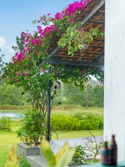 A view from the farmhouse porch, with a birdhouse hanging near a flowering vine. The shot captures the peaceful, natural beauty of the farm and its connection to wildlife.