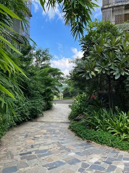 Institutional Sanctuaries: Avasara Academy photo 7