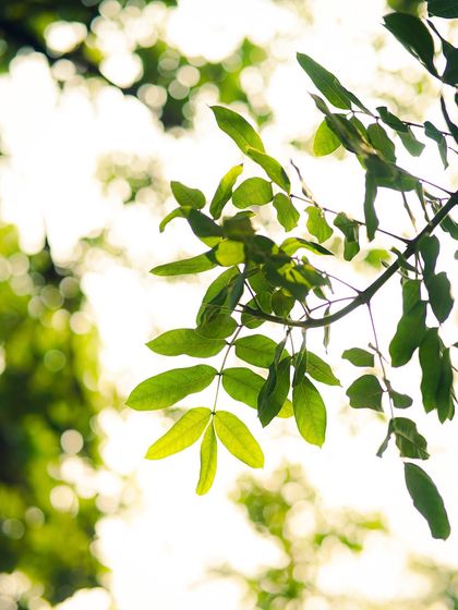 Garima Bhaskar - Photography Services Moody Moments & Details photo 24