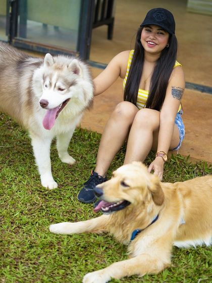 The Pawsome Camp - Dog Daycare & Boarding Happy Campers & Their Humans photo 4