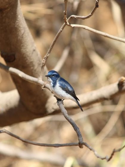 Discovery Village Resorts - Corporate & Group Outings Relaxed Pursuits & Nature Connection photo 23