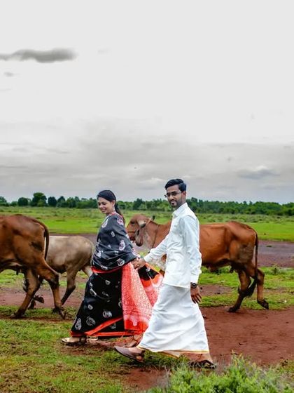 A creative and unique pre-wedding shot of a couple walking with a herd of cows, showing that we can find beauty and romance anywhere.