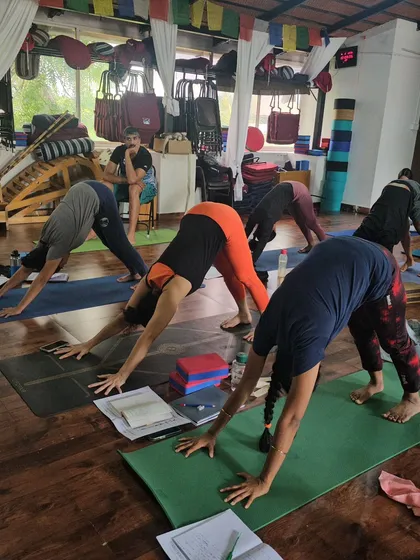 A class practices Adho Mukha Svanasana (Downward-Facing Dog), a foundational pose for building strength and finding balance.
