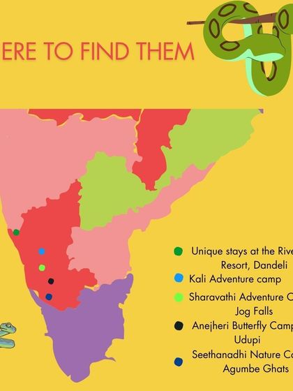 The Western Ghats are home to the elusive Malabar Pit Viper. For herpetology enthusiasts, I can arrange stays in places like Agumbe and Dandeli, which are prime habitats for spotting these reptiles.