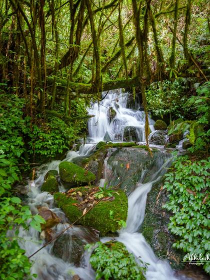 Miles To Trek - Guided Trekking Expeditions Himalayan Expeditions photo 14