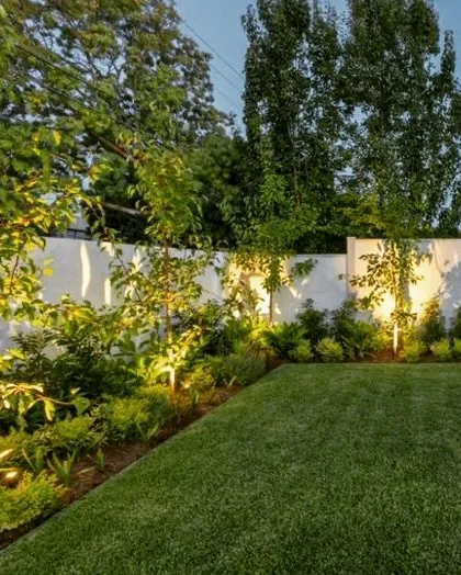 A garden at dusk, with uplighting on the trees and shrubs along the boundary wall. This lighting technique adds drama and depth to the landscape after sunset.
