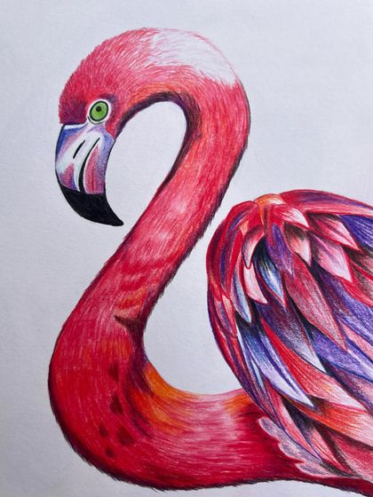 Close-up shots of a beautifully rendered flamingo, created with color pencils to showcase vibrant colors and fine details.