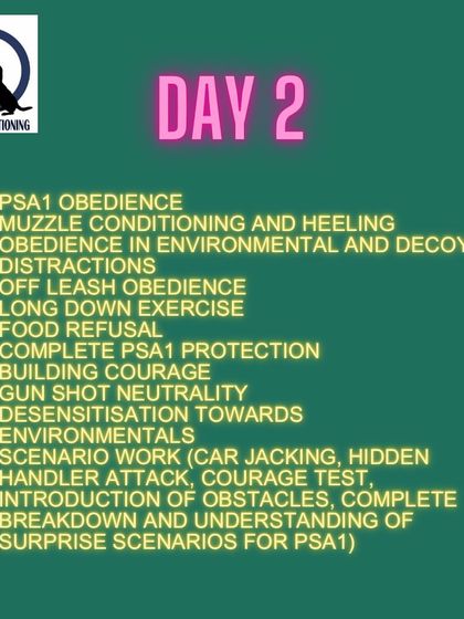 The Day 2 topics for my PSA seminar, focusing on PSA1 level obedience and protection scenarios like car jacking and courage tests.