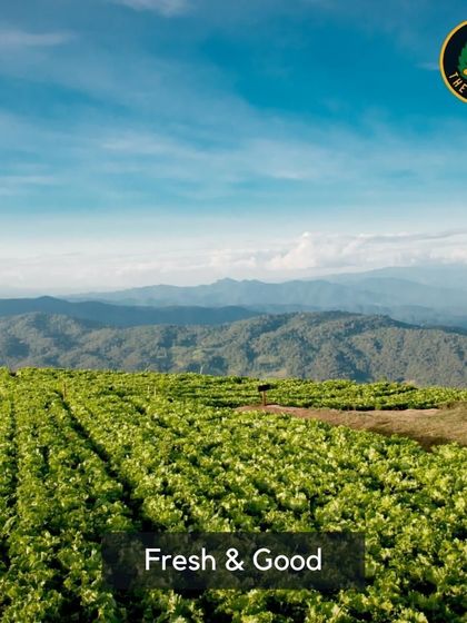 I believe in using fresh ingredients, direct from the source. This image represents my commitment to farm-to-table freshness and quality.