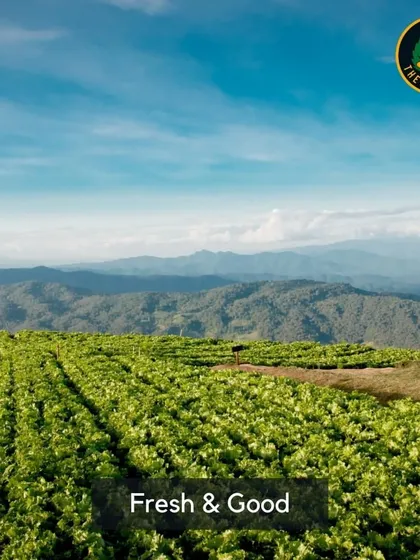 I believe in using fresh ingredients, direct from the source. This image represents my commitment to farm-to-table freshness and quality.