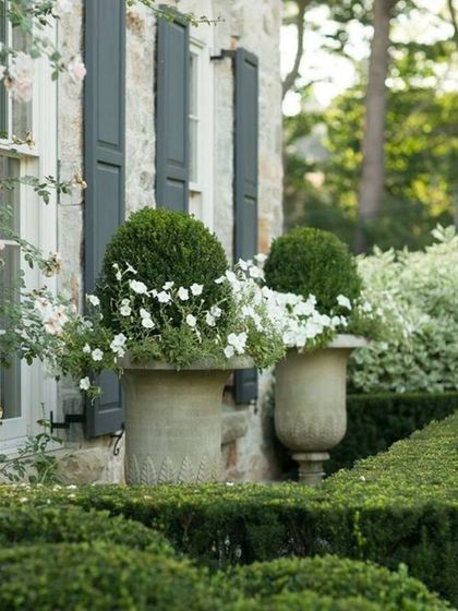 Classic stone urns planted with spherical topiaries and trailing white flowers. We use container planting to add elegant, formal accents to patios, doorways, and garden walls.