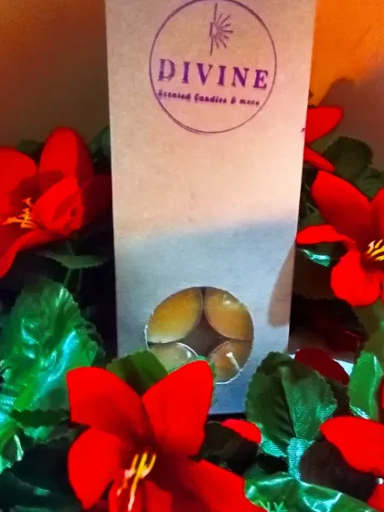 A close-up of the packaging for my tealights, showing the window that lets you see the candles inside.
