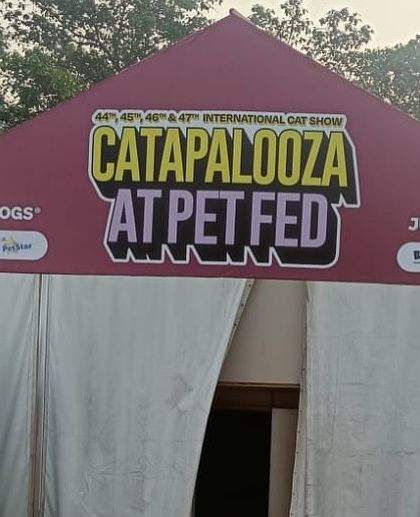 The entrance to the 'Catapalooza' zone within Pet Fed. I create these distinct zones using branded tents and signage, helping to guide attendees and structure the festival layout.
