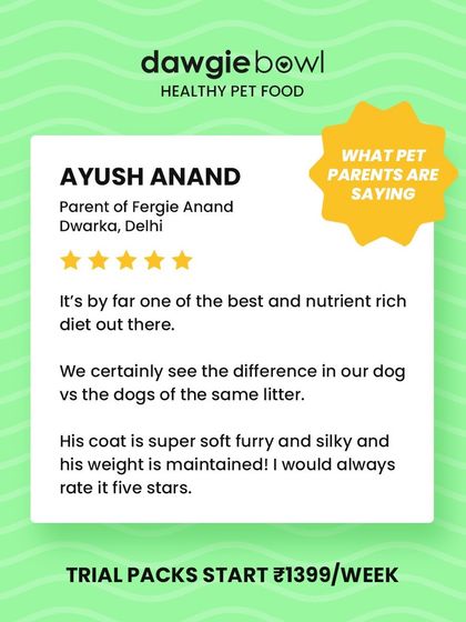A 5-star rating for a soft, silky coat and maintained weight is fantastic to see. This review highlights the visible difference our nutrient-rich diet makes compared to other dogs from the same litter.