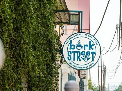 Our inviting entrance, with the green-covered wall and our signature sign, promises a great time inside.
