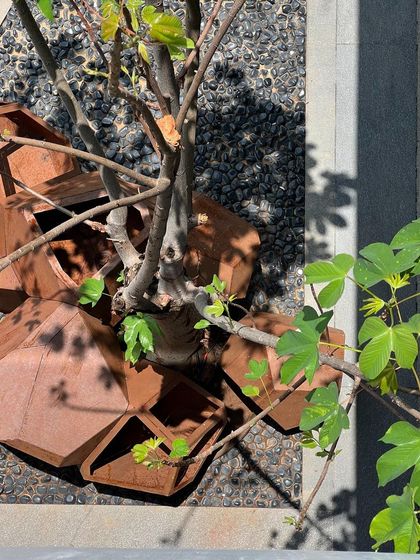 An aerial view of the Corten steel rock planters, showing how they cluster around a tree on a bed of black pebbles. This perspective reveals their geometric, sculptural quality.